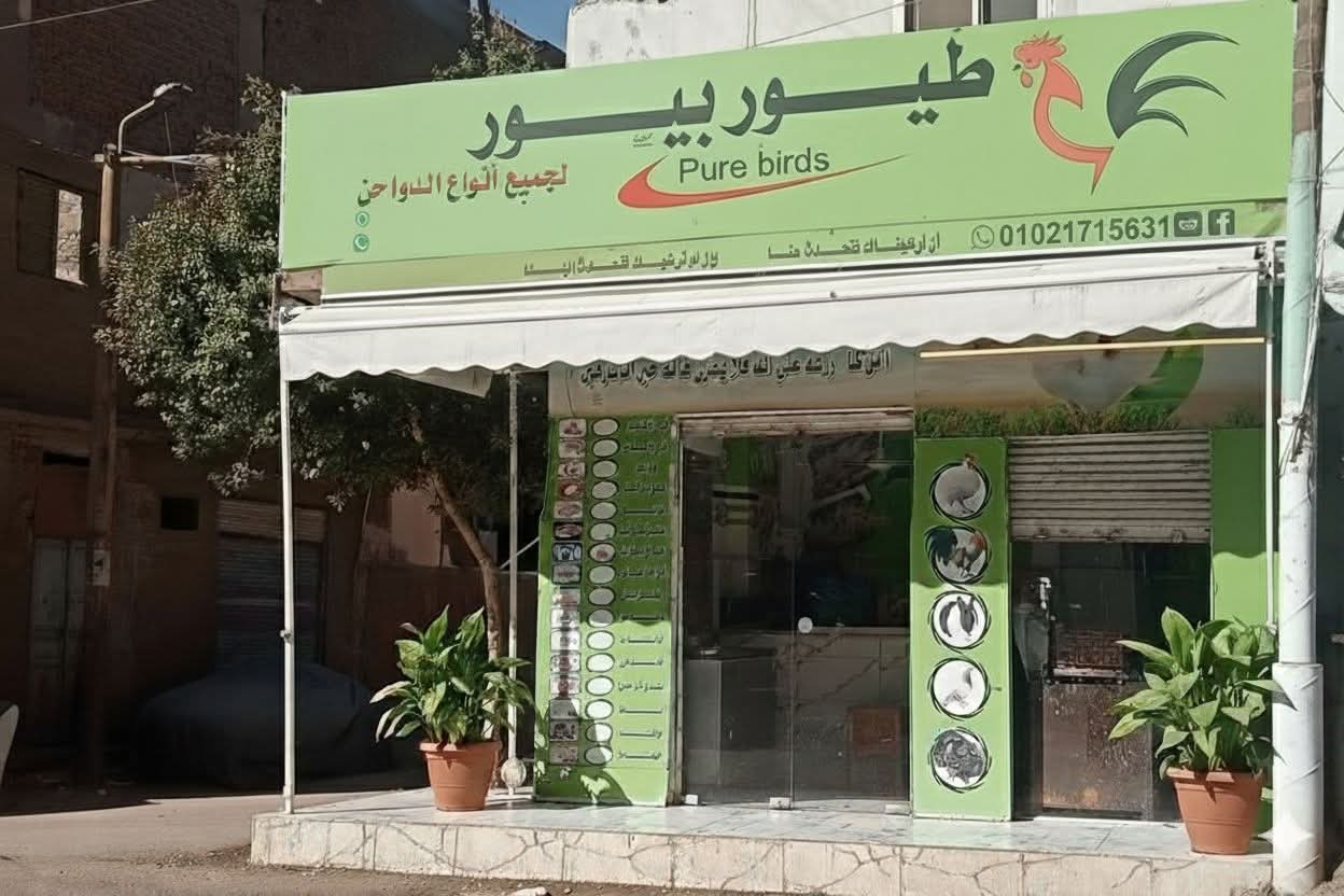 محل دواجن